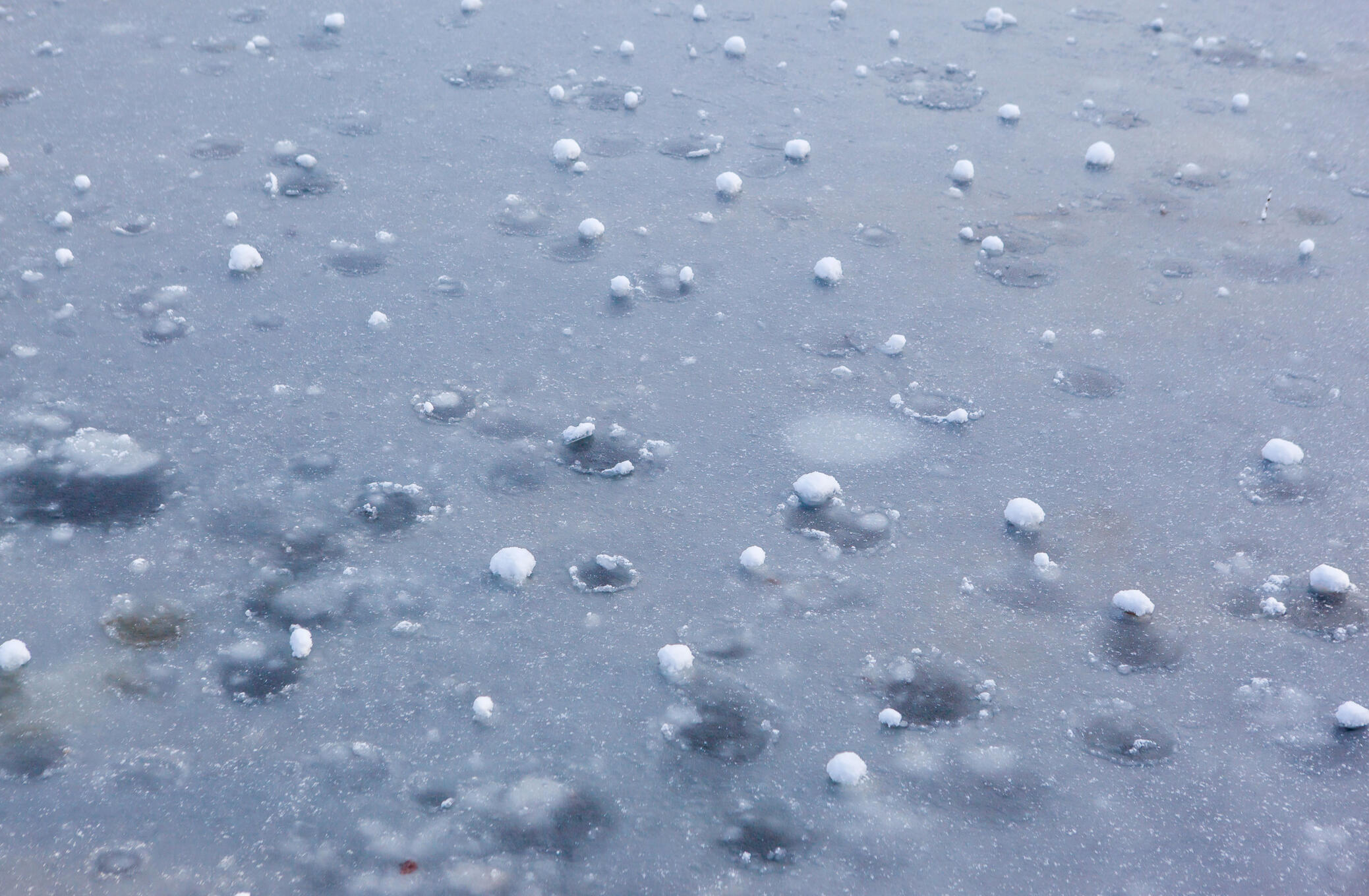 Colorado Hail Damage Protection Hailstones falling during a Colorado hailstorm, showing the type of damage severe weather can cause to homes and property.